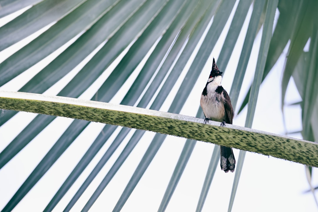 Download 'Hang in There It Gets Worse' PNG Free Bundle Today